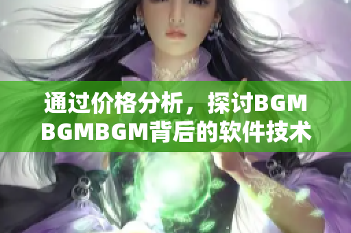 通過價格分析，探討BGMBGMBGM背后的軟件技術價值