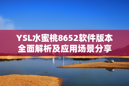 YSL水蜜桃8652軟件版本全面解析及應用場景分享