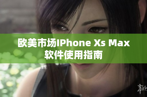 歐美市場IPhone Xs Max軟件使用指南