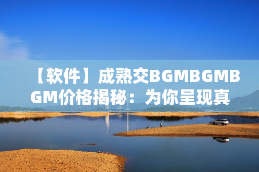 【軟件】成熟交BGMBGMBGM價格揭秘：為你呈現真正的軟件交易價值