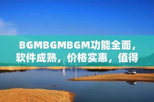 BGMBGMBGM功能全面，軟件成熟，價(jià)格實(shí)惠，值得購(gòu)買!