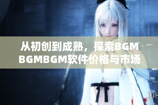 從初創到成熟，探索BGMBGMBGM軟件價格與市場趨勢