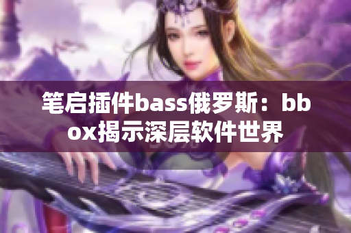 筆啟插件bass俄羅斯：bbox揭示深層軟件世界