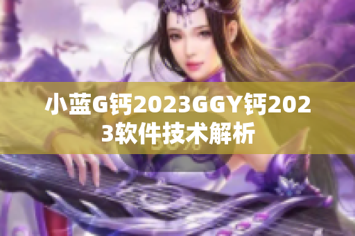 小藍G鈣2023GGY鈣2023軟件技術解析