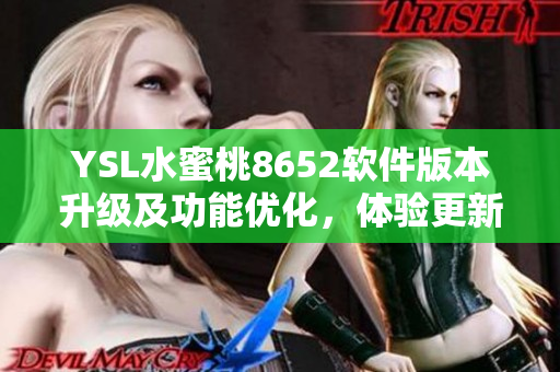 YSL水蜜桃8652軟件版本升級及功能優(yōu)化，體驗更新！