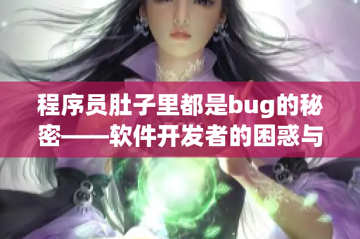 程序員肚子里都是bug的秘密——軟件開發者的困惑與解決之道