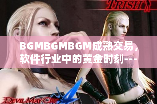 BGMBGMBGM成熟交易，軟件行業(yè)中的黃金時刻---瞭望未來價值