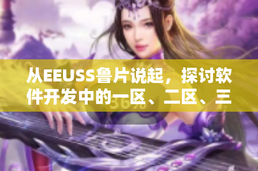 從EEUSS魯片說起，探討軟件開發(fā)中的一區(qū)、二區(qū)、三區(qū)挑戰(zhàn)