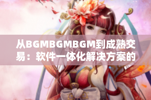 從BGMBGMBGM到成熟交易：軟件一體化解決方案的價(jià)格分析