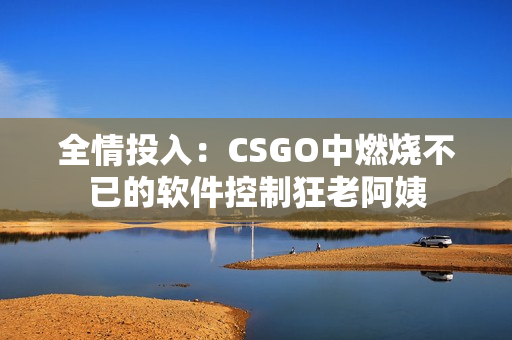 全情投入：CSGO中燃燒不已的軟件控制狂老阿姨