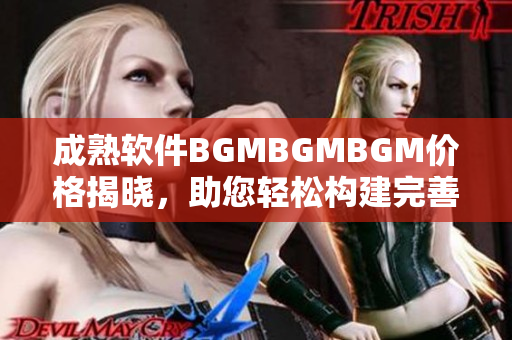 成熟軟件BGMBGMBGM價格揭曉，助您輕松構建完善項目。