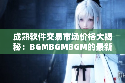 成熟軟件交易市場價格大揭秘：BGMBGMBGM的最新價位揭曉