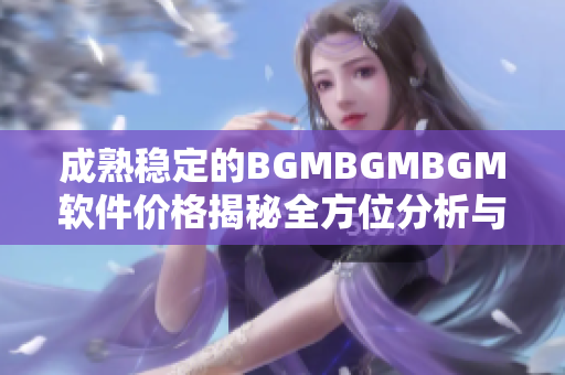 成熟穩定的BGMBGMBGM軟件價格揭秘全方位分析與實用建議