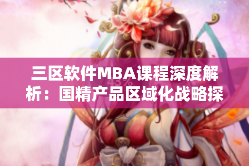 三區軟件MBA課程深度解析：國精產品區域化戰略探究