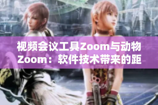 視頻會議工具Zoom與動物Zoom：軟件技術帶來的距離交流革新