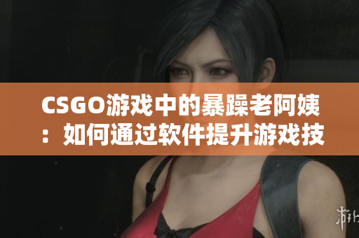 CSGO游戲中的暴躁老阿姨：如何通過軟件提升游戲技巧