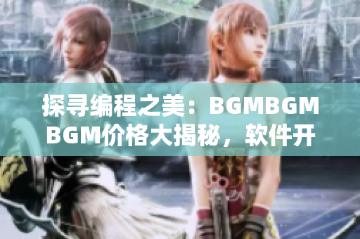 探尋編程之美：BGMBGMBGM價格大揭秘，軟件開發者必看