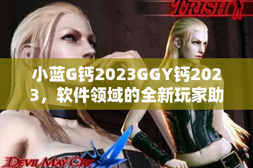 小藍G鈣2023GGY鈣2023，軟件領域的全新玩家助力計劃