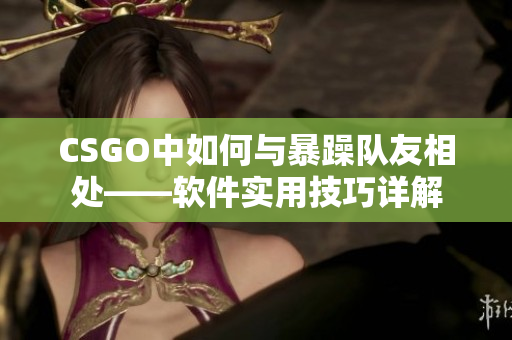 CSGO中如何與暴躁隊友相處——軟件實用技巧詳解