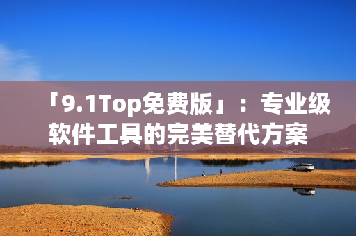 「9.1Top免費(fèi)版」：專業(yè)級(jí)軟件工具的完美替代方案